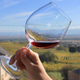 Hand holding red wine glass in countryside